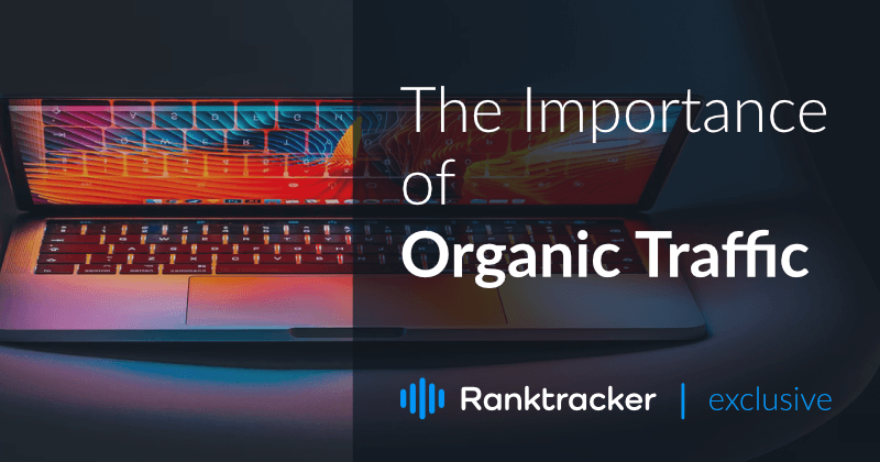 Importanța traficului organic