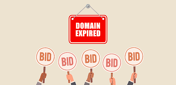 Holding Expired Domain Auctions