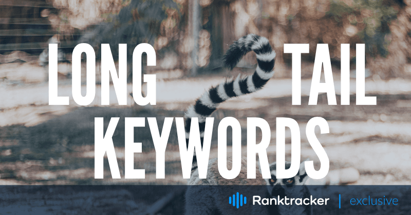 Long Tail Keywords i SEO: Vad är de och hur använder man dem?