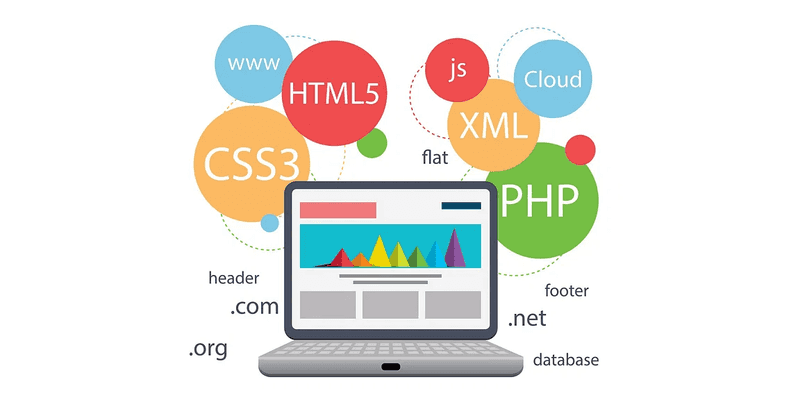 website website