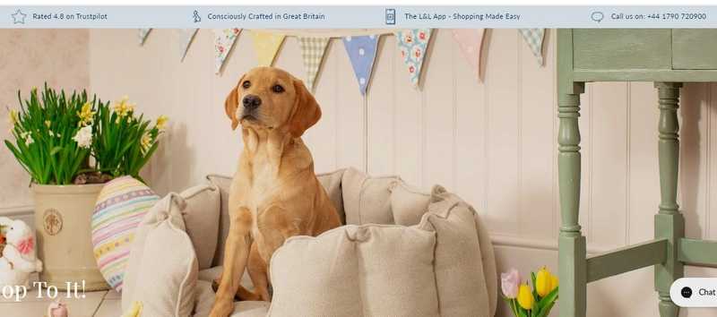 lordsandlabradors lordsandlabradors