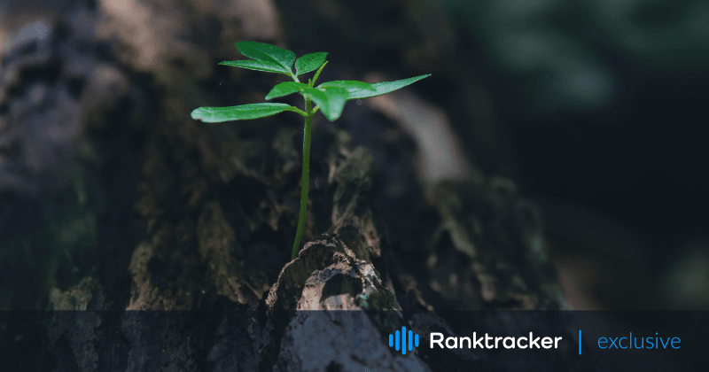 SEO стратегия за SaaS: Окончателното ръководство за растеж през 2023 г.