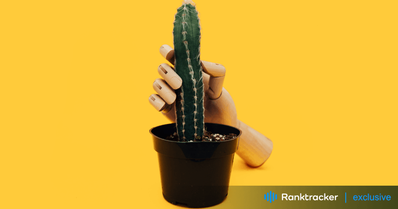 2024 年 OnlyFans 的搜索引擎优化最佳实践