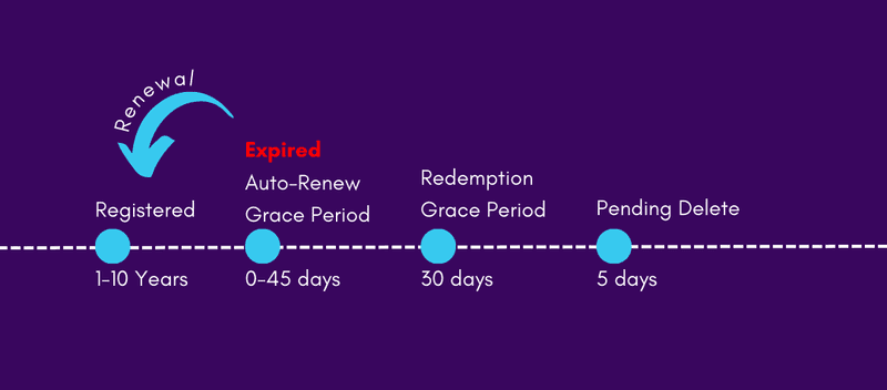 Domain Life Cycle Explained