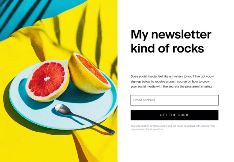 Screenshot of Flodesk's newsletter form